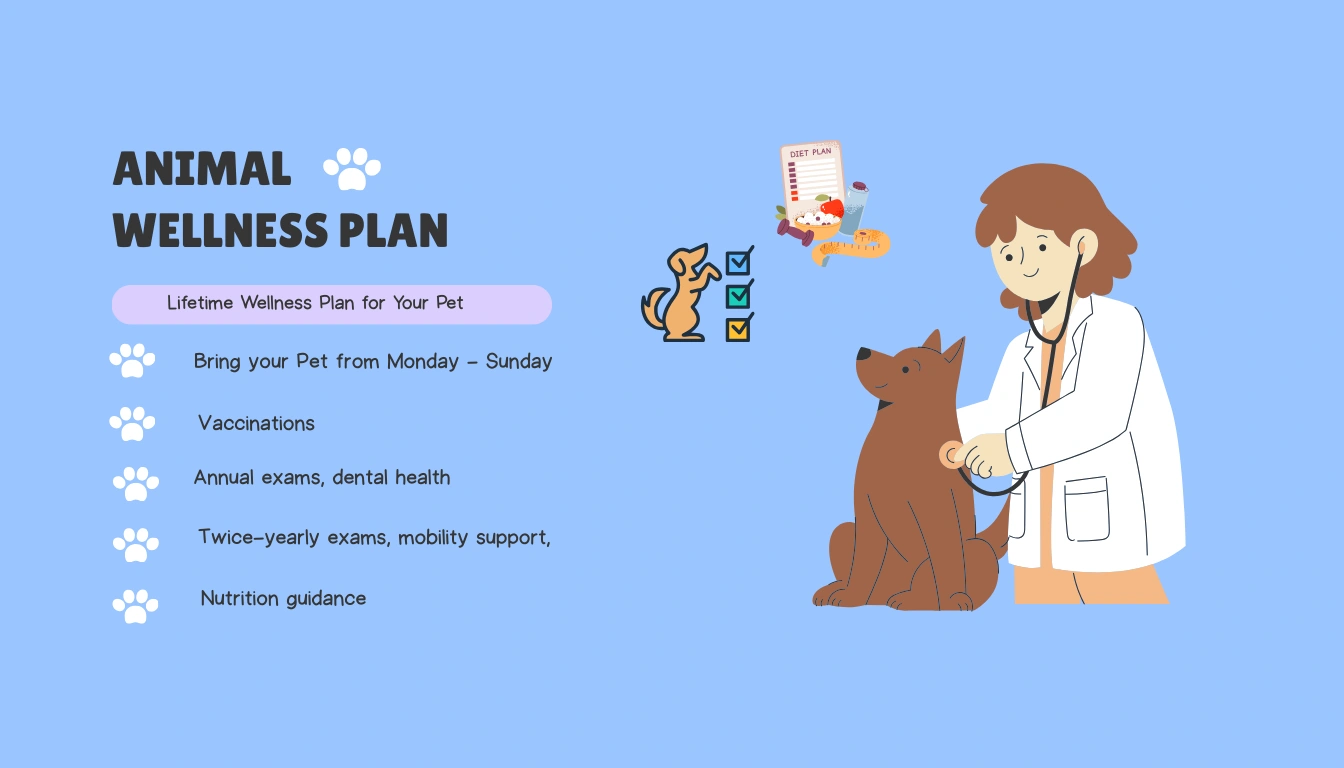 Building a Lifetime Wellness Plan for Your Pet