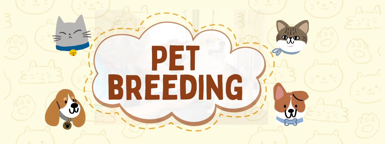 Modern Breeding: Leveraging Technology for Better Pet Care