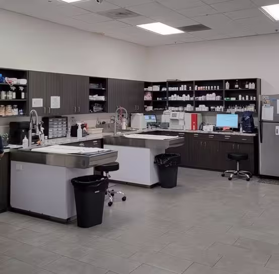 Diagnostic Veterinary Lab